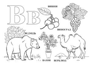 Розмальовка літера В
