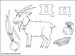 Розмальовка буква Ц