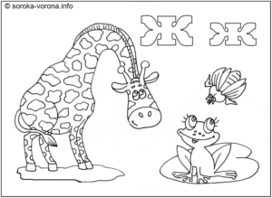 Розмальовка буква Ж