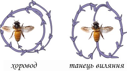 Танець бджіл
